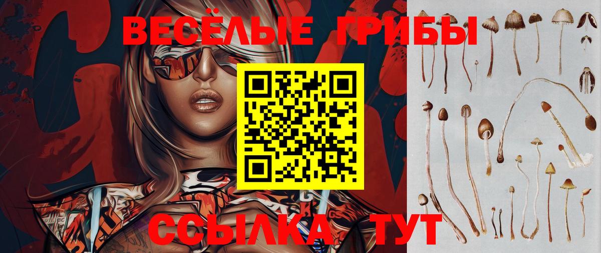 Шатура  Псилоцибиновые грибы GOLDEN TEACHER  Вход с VPN 